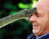 snake-bites-face.jpg