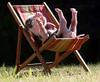 pig-just-chillin.jpg