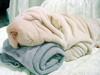 towel-or-dog.jpg