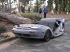 tree-crushes-car.jpg