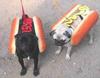 two-hot-dogs.jpg