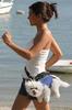 walking-the-dog.jpg