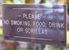 no-gorillas-allowed.jpg
