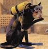 scuba-diving-cat.jpg