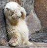 no-pictures-please.jpg