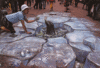 otter-in-lake-3d-sidewalk.gif