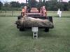 big11