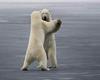 polar-bear-waltz.jpg