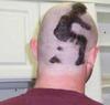 shitty-haircut.jpg
