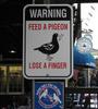 anti-pigeon-propaganda.jpg