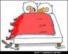 blanket
