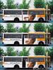 bus1