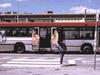 bus5