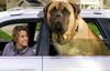 carride