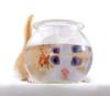 cat_and_fish