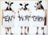 cows