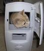 digitalcat