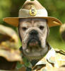 drill_instructor