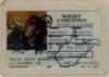 driverslicense