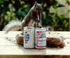 drunksquirrel