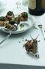 escargot
