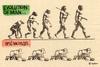 evolution