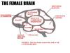 femalebrain